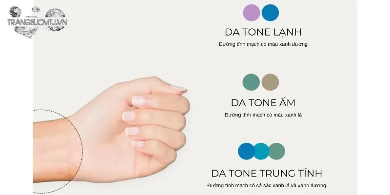 Cách Xác Định Tông Da Ấm